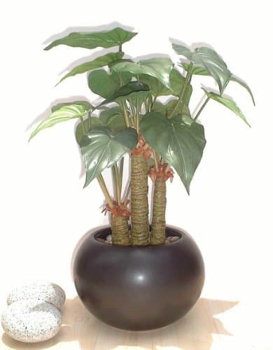 17" Philodendron Palm, Artificial Plant (Without Pot)