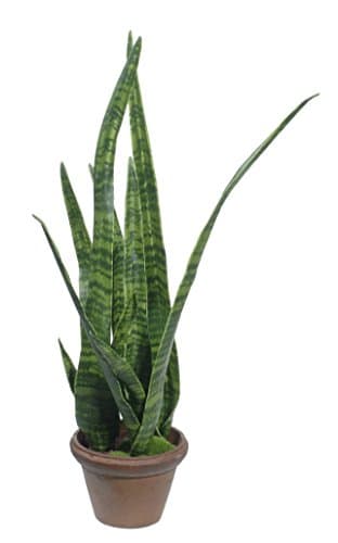 Gold Eagle USA Artificial Medium Green Snake Plant with Pot, 40"