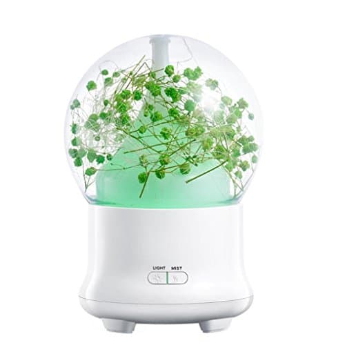 SinoFish Aroma Diffuser, 100ml Essential Oil Diffuser, Ultrasonic Aroma Humidifier, Aromatherapy Diffuser, Cool Mist, Auto off Air Purifiers, 7 Color Changing LED Lights, Eternal Flower(Green)
