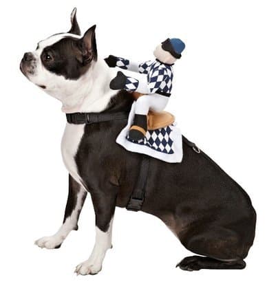 sif Saddle for Dogs with 2 Adjustable Straps. Size S