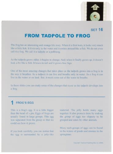 NTA Animal From Tadpole to Frog Microslide