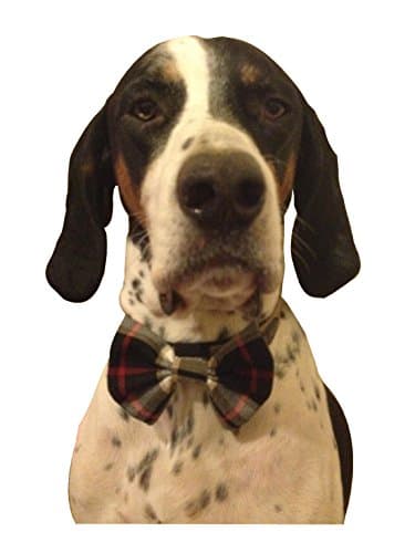 grey tartan elasticated dog bow tie FREE DELIVERY
