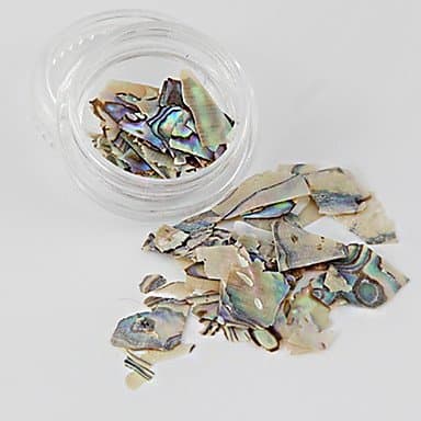 2 g/Box Natural Shell Paster Nail Art Decorations