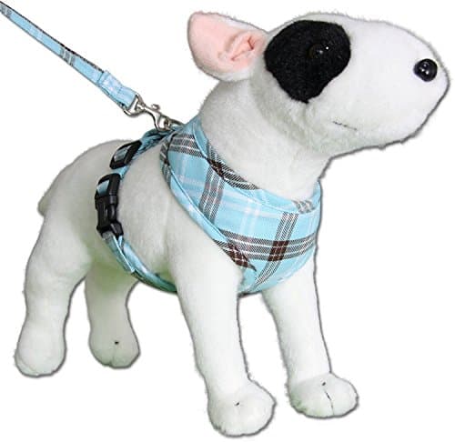 Round-Loop Sofy Harness Scottish Turquoise (L)