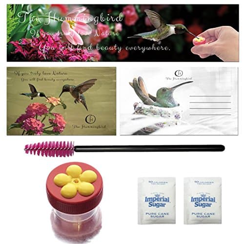 Aroma Trees 1 Mini Hummingbird Handheld Feeders Complete Feeding System