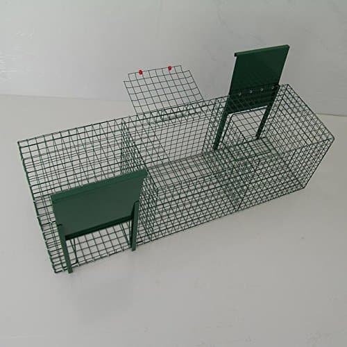 Corvids Trap 2 doors