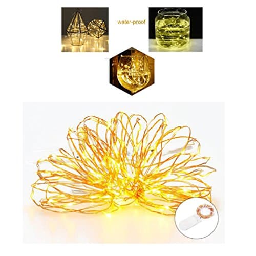 Fairy String Lights,Battery Operated Starry String Light, Moon Light 20 Leds Copper Wire for Christmas,Thanksgiving Decoration,Wedding Centerpiece ,Costume Making and more (1PC, warm white)