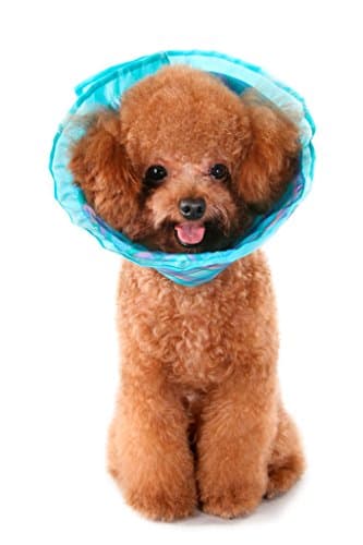 Premium Plush E-Collar Cone For Dogs &amp; Cats, Elizabethan Collar is Soft and Durable for Ultimate Bite Not Protection During Recovery, Comes in Every Size, Choose Blue, Pink, Green Plaid, Guaranteed