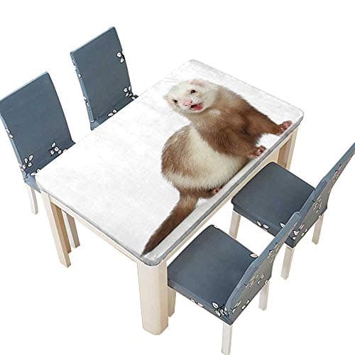 PINAFORE Fitted Polyester Tablecloth Ferret (Polecat) on a White Background Spillproof Tablecloth W69 x L108 INCH (Elastic Edge)