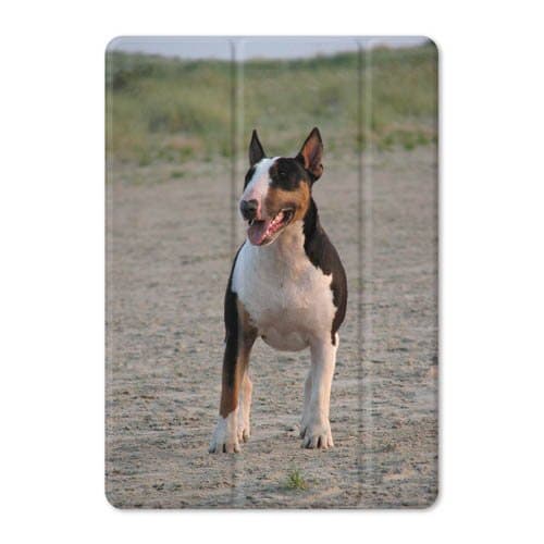 Auto Wake Sleep Tablet HD Folding Stand Cover Case Shatterproof Hot Customize For iPad Mini Air Pro