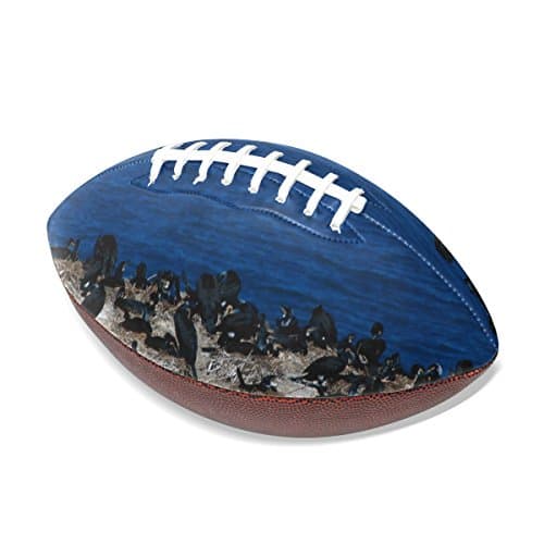 LEEZONE Rugby Ball with Migratory Bird Printing