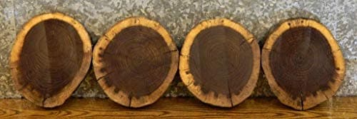 4- Salvaged Live Edge Black Walnut Round Cut Tree Log Slice Slabs T: 1 3/8''D: 10 3/4'' - 14562-14565