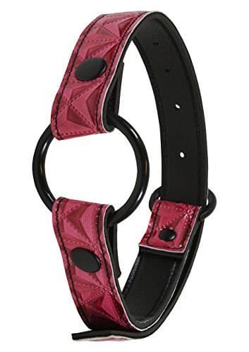 Sinful Interchangeable O Ring Mouth Gag, Pink by Sinful