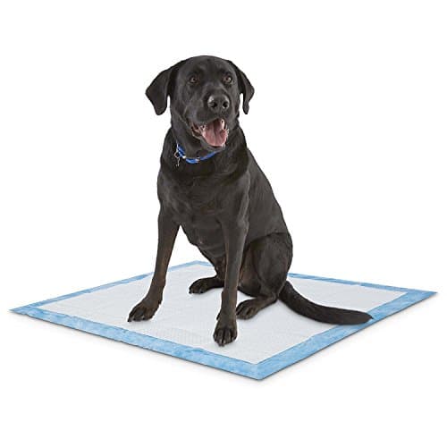 100 Count 30x30 Powerful Absorbency Potty Puppy Training Pads, WON`T LEAK OR SPREAD
