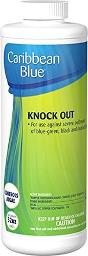 Caribbean BlueKnock Out Swimming Pool Algae Killer Pool & Spa Chemicals