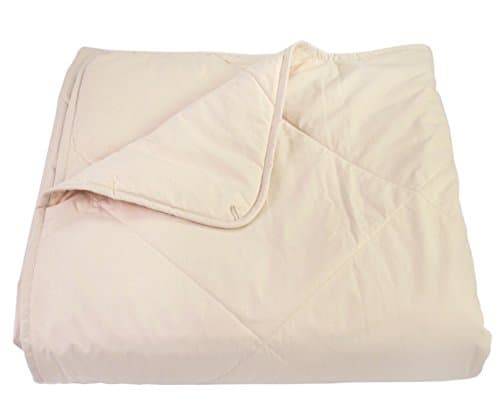 Empress Home Washable Silk Filled Comforter - Full - Beige