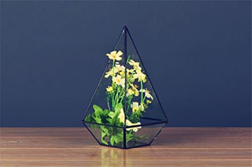 Crystals Shape Mini Glass Garden Pyramid Type Tabletop Vase Clear Flower Plant Creative Holder Container Indoor Home Decoration