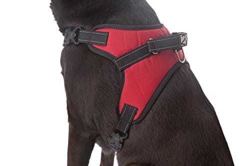 2PET No Pull Dog Harness with Padded Mesh by Safety Reflective Straps, D-Ring - Training, Walking, Service Dogs, Hiking - Adjustable Size - XLarge Red