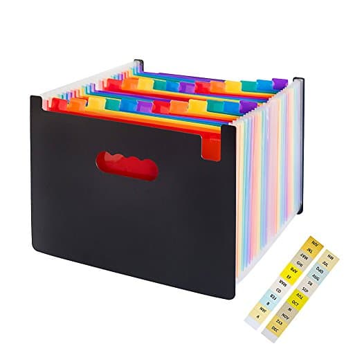 iGoods 24 Pockets Expanding File Folder with Labels, Expandable A4 Accordian File Organizer Box Bag, Portable Desktop Business Paper Dacument Holder Wallet for Office School Hospital-Christmas gift