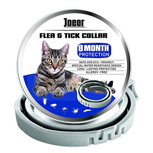 JOEOR Flea Collar for Cats - Long-Lasting Flea and Tick Prevention for Cats - Adjustable, Hypoallergenic and Waterproof Safe Cat Flea Treatment - Enhanced Formula Medicine Cat Collar