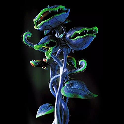 Foulon Seeds Dionaea Muscipula Giant Venus Flytrap Seeds Clip Flytrap Plant Seeds Carnivorous Seeds Garden Flowers