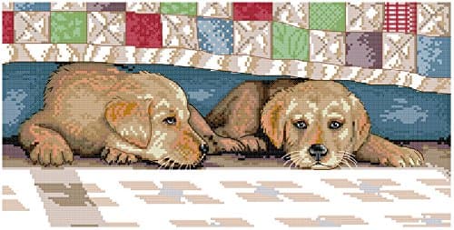 Crossdecor Stamped Cross Stitch with Pre-printed Pattern 11 Count Easy Kits, We're Having A Break