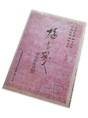 Easyou Meiyutang Handmade Bamboo Xuan Paper for Regular Running Script Calligraphy Traditional Letter Vertical Line 50 Sheets 22 * 32cm