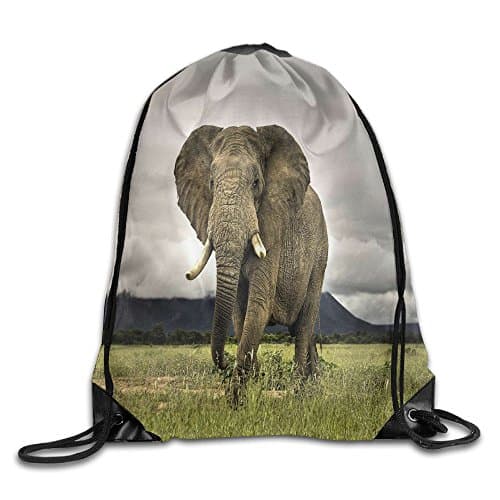 Drawstring backpack insulated cooler New Style Sack Bag Animals Elephant Big Ears Summer Beam Mouth Backpack