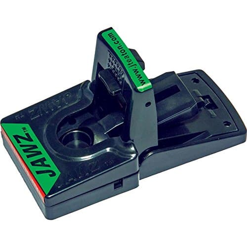 Jawz Mouse Traps - Pack of 6