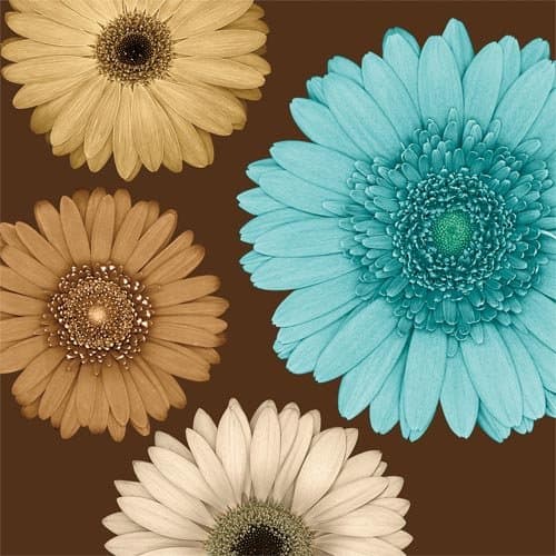 Daisy Quartet II - Canvas - Large: 30"x30"