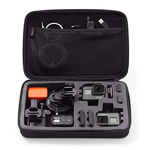 Cygnus Carrying Case for GoPro,Black