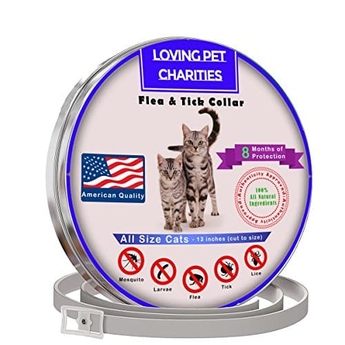 Flea Collar For Cats - Tick Collar For Cats - 100% Quality Flea And Tick Prevention For Cats And Kittens - 8 Months Protection - One Size Fits All – Waterproof and Hypoallergenic Flee Repellent