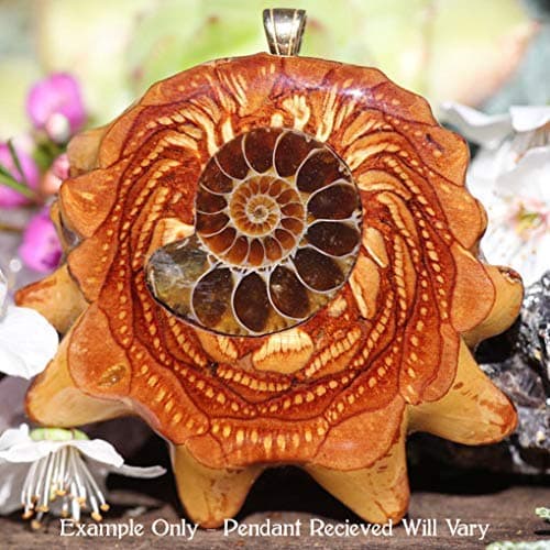 Ammonite Third Eye Pinecone Pendant