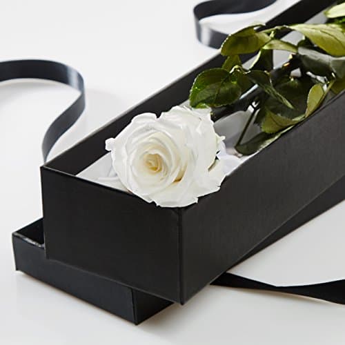 White Preserved Single Rose Stem in a Luxury Gift Box