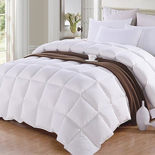 Queen/Full❤Soft Down Alternative Quilted Comforter Summer Cooling Duvet Insert❤with Corner Ties Fluffy Lightweight for All Season, Hypoallergenic Reversible Hotel Collection❤White,88 by 88 inch