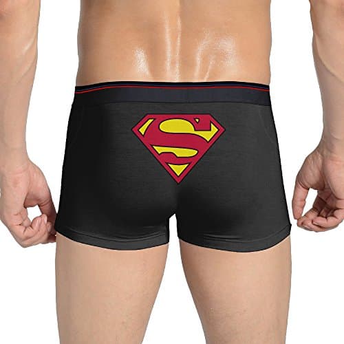Superman Logo Mens Stretchable Boxer Briefs Apparel