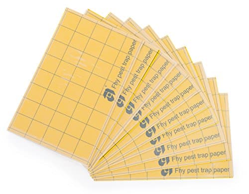 Guarden Replacement Fly Trap Paper Silent Strike - 10 Pack of Fly Catching Sticky Pads for the Silent Strike