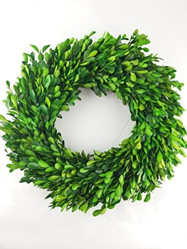 Preserved Boxwood Wreath - 12"