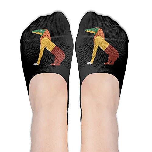 Ammit Egypt Goddess Socks Boat Low Cut Thin No Show Deodorant Sock Non Slip For Women