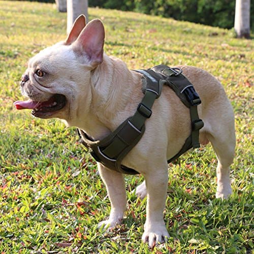 Dog Harness Large Breed No Pull Vest Harness for Large Dogs, Chest Leash Harness with Front Clip, Vehicle Harness for Safe, Two Leash Attachments Dog Walking Harness for Large Dogs Easy to Walk