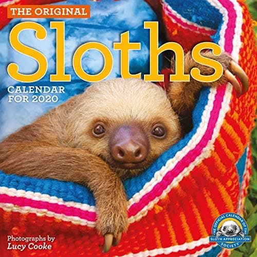 Original Sloths Wall Calendar 2020
