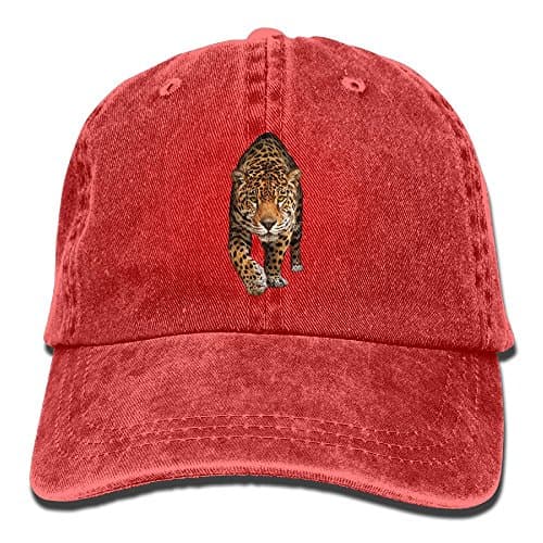 Gansu Jaguars Baseball Cap Of Hat Adjustable Plain Baseball Cap