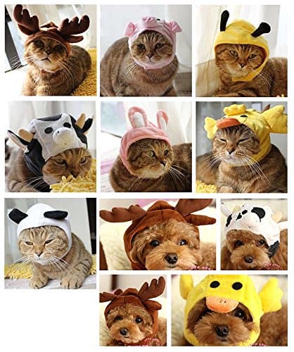 KOJIMA Design New Cute Funny Puppy Transfiguration Hat for Dog Puppy Cat Kitty Rabbit Small