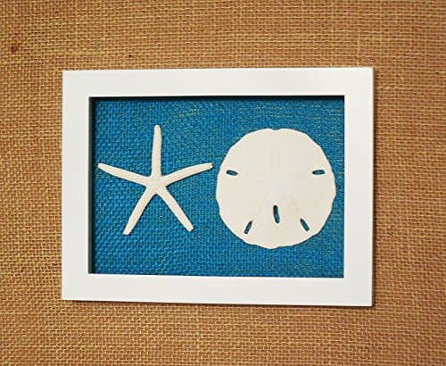 Sand Dollar and Starfish Shadow Box Frame, Shell Beach Decor Wall Art,Glass Enclosed, Many Background Colors, Ready to Hang (1, Turquoise Burlap)