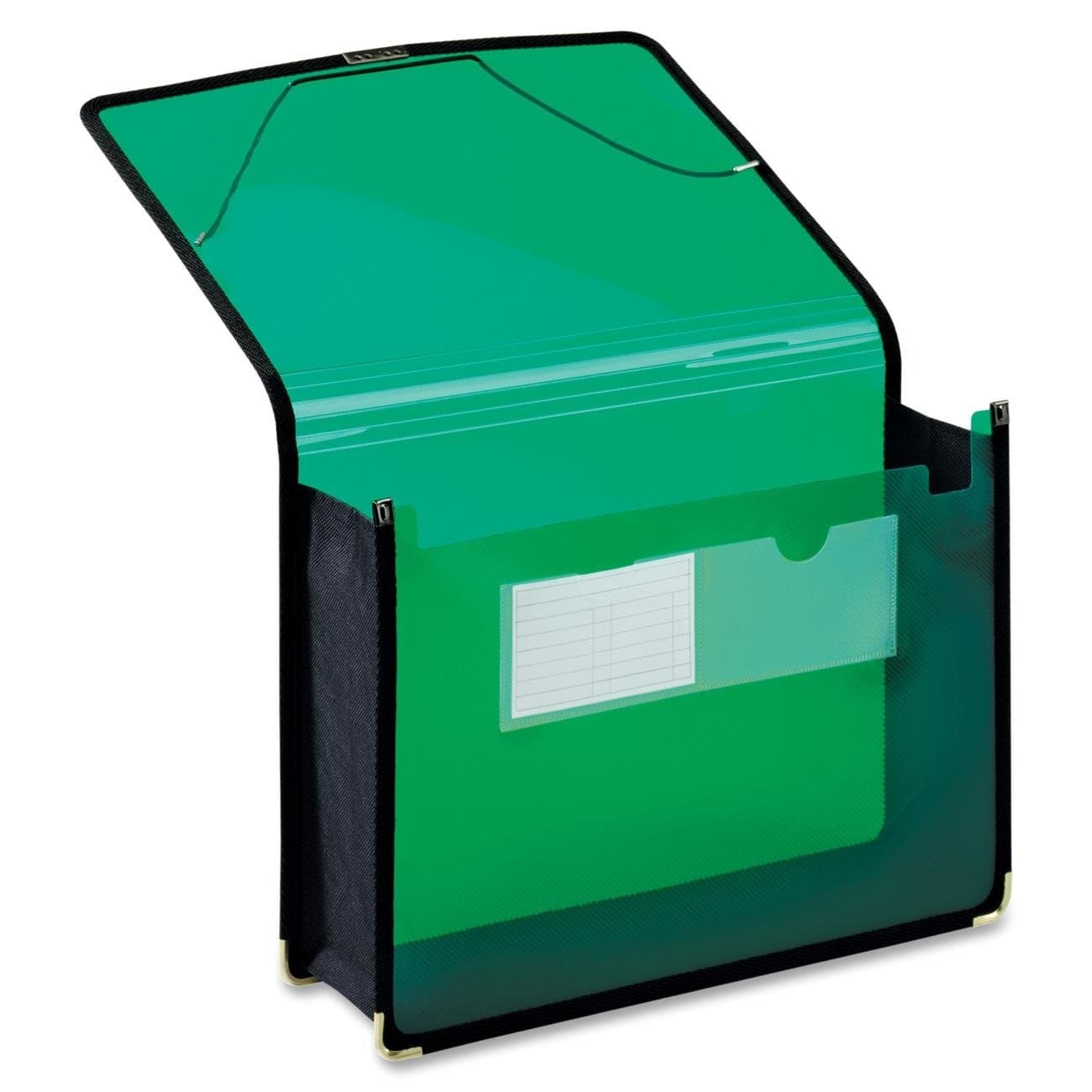 Globe-Weis/Pendaflex Poly File Wallet, 3.5-Inch Expansion, Elastic Cord Closure, Letter Size, Green (84041GR)