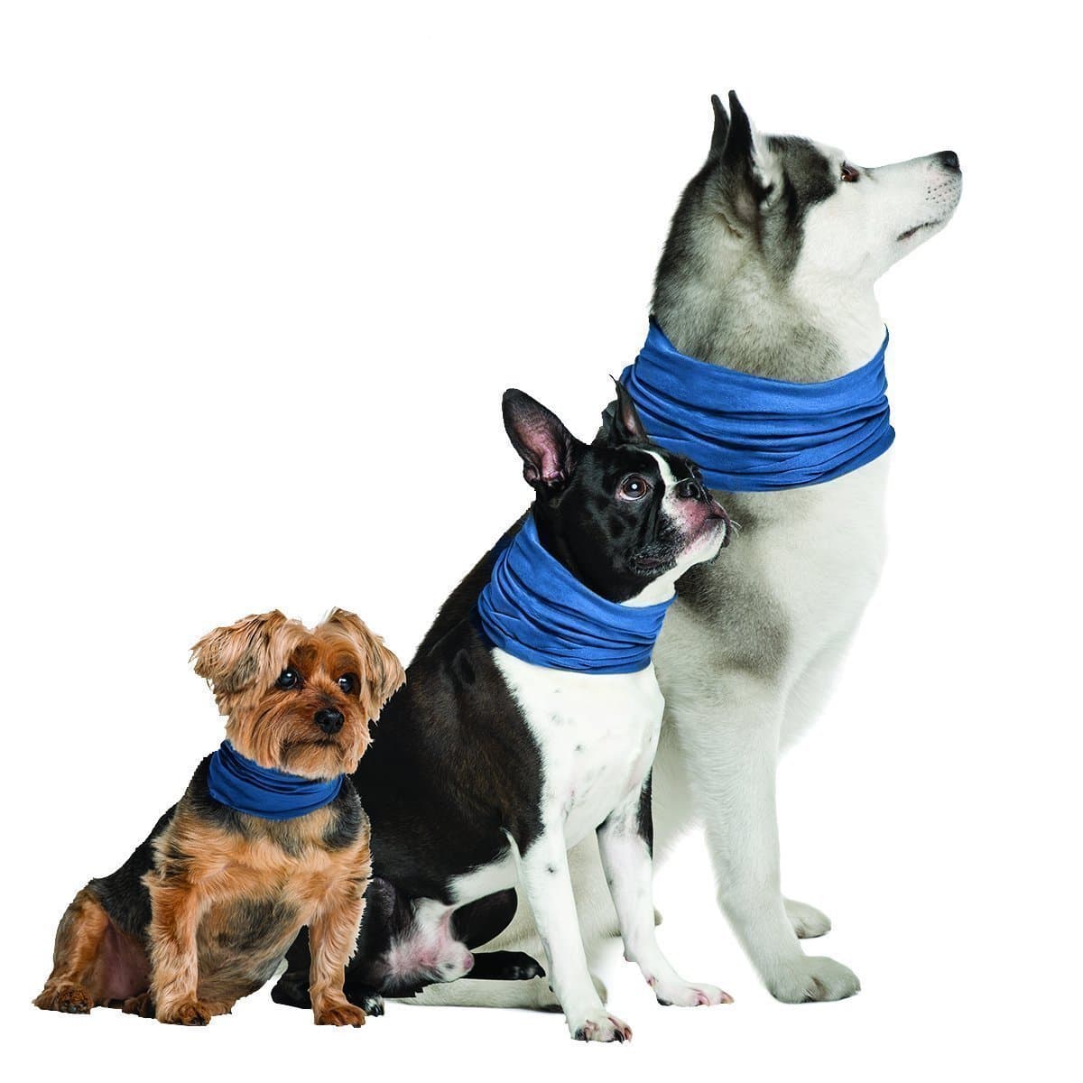 K9 Chill Dog Cooling Collar (Small/Medium 8"- 20")