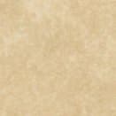 Large Size Mohawk Fine Parchment Paper, 60lb. Text 23 x 35 Inches, 5 Sheets (Aged)