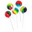 LOLLIPOPS Multi-Colored Sugarfree Pediatric Pops 2 lb package