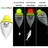 Smart Kingfisher Fishing Float Alarm Fish Bite Bait Trigger LED Light Automatically Night Bobber Automatic Electronic Buoy Strike Indicator Alert