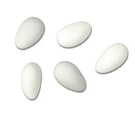 White Sugared Almonds Wedding Favours x50